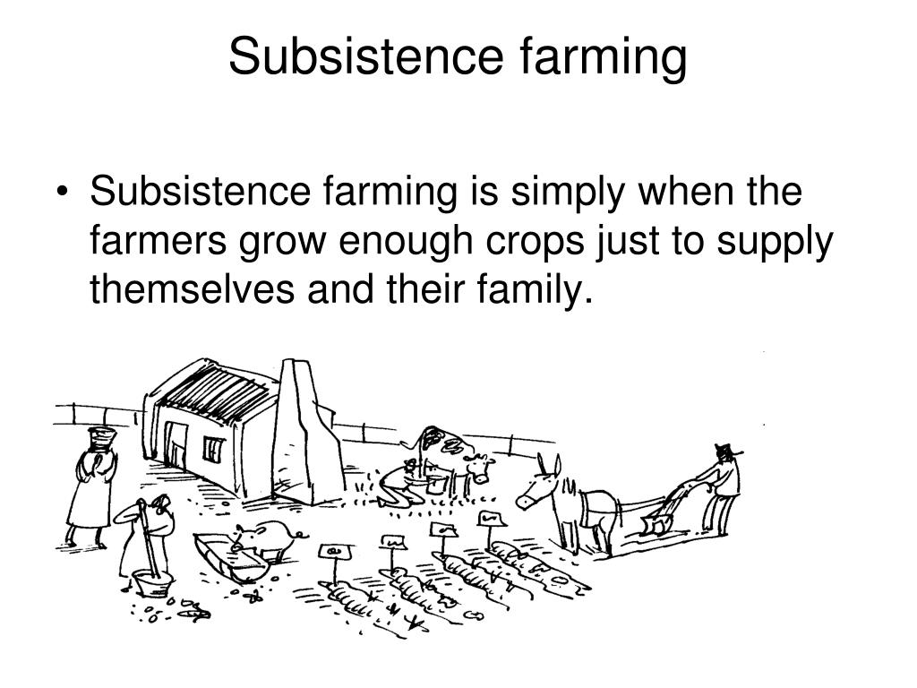 PPT First Agricultural Revolution PowerPoint