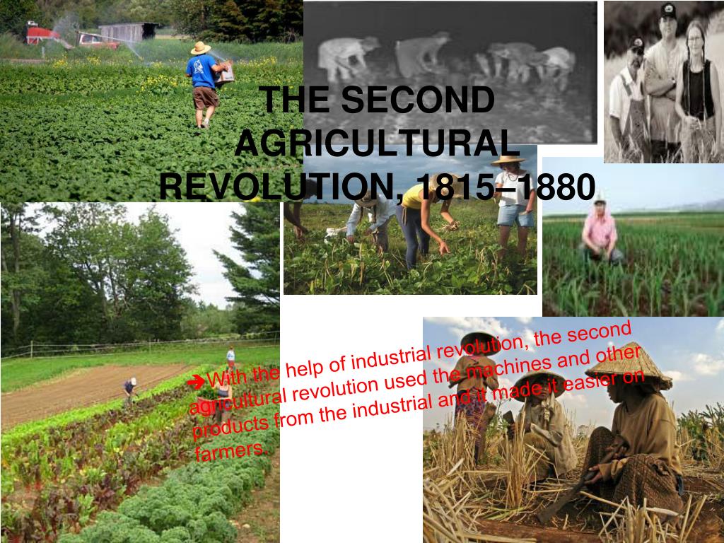 PPT First Agricultural Revolution PowerPoint