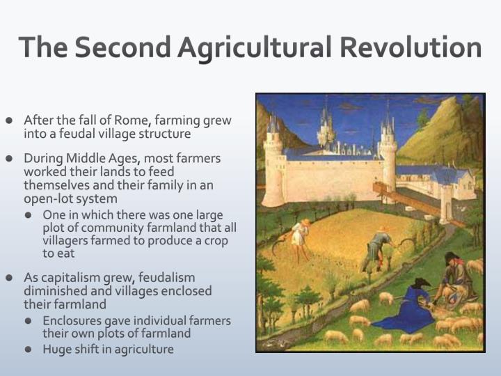 PPT Agriculture and Rural Land Use PowerPoint