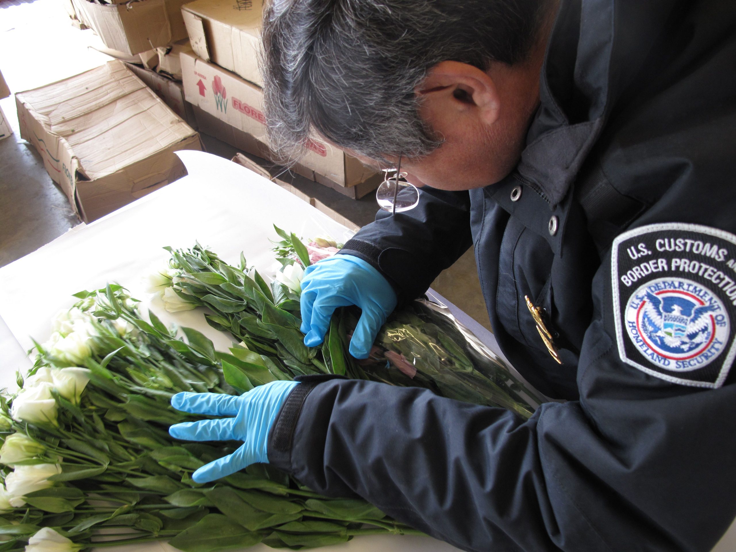 Customs and Border Protection Agriculture Specialist