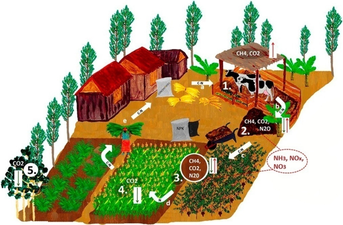 Wholefarm greenhouse gas emission balances and hotspots