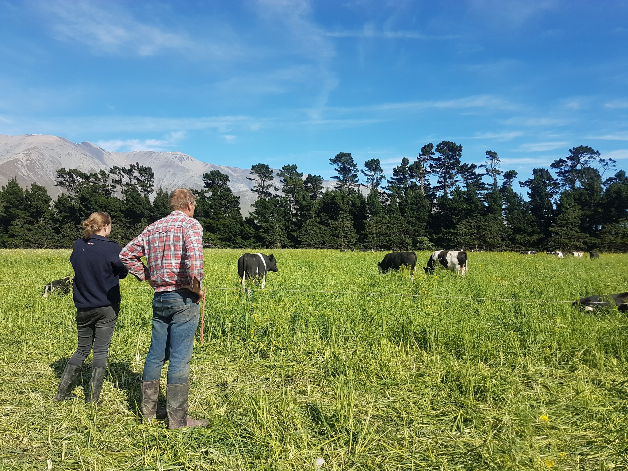 Regenerative Agriculture benlea.co.nz