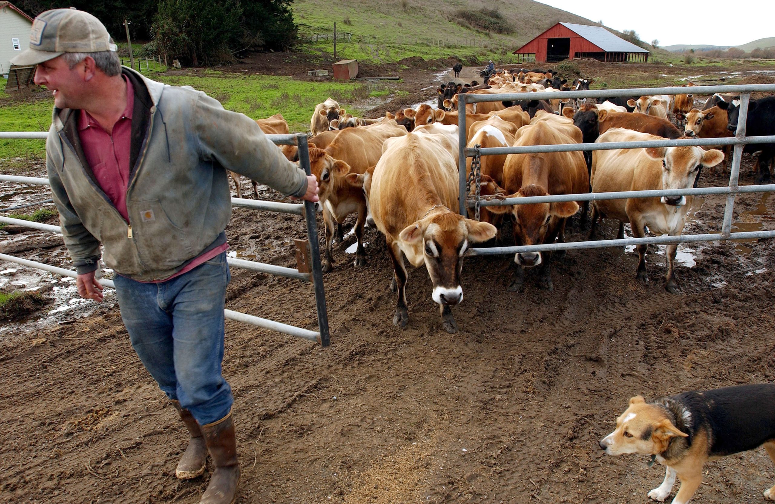 Dairy Farmers & Lumberjacks Make Worst Jobs List