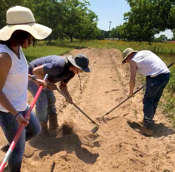 Sustainable Agriculture and Food Systems (BS) Texas A&M