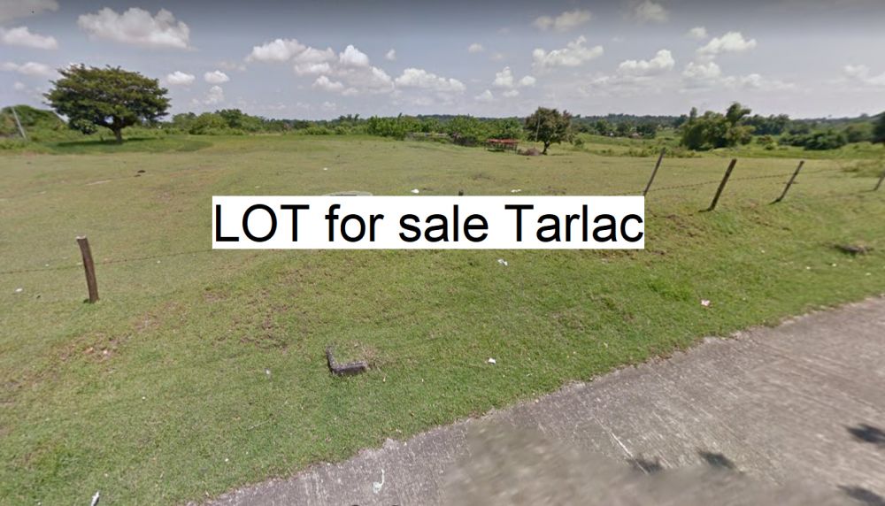 3.8 Hectares Farm Land in Tarlac for sale