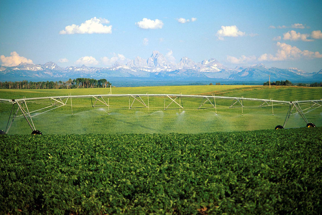 Agriculture in Minidoka ProjectIdaho Agriculture near