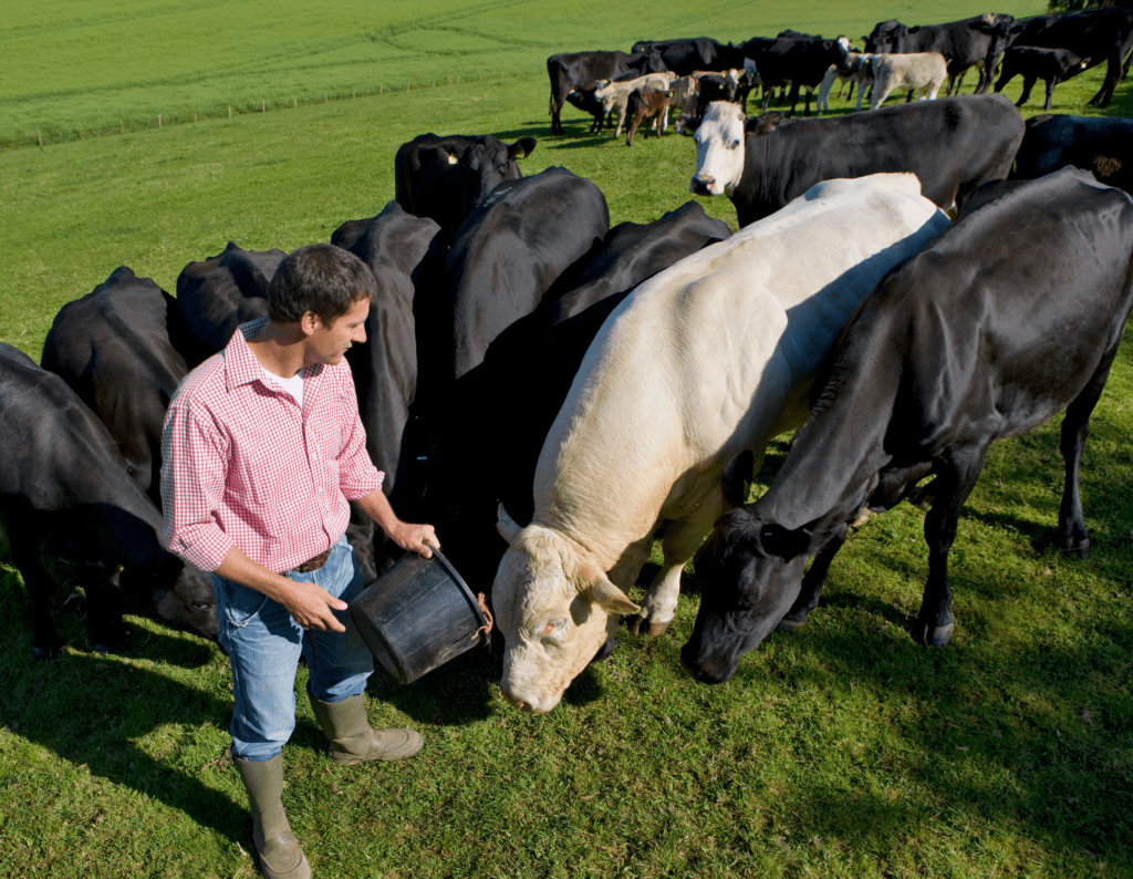 About Regenerative Agriculture The Carbon Neutral Foundation