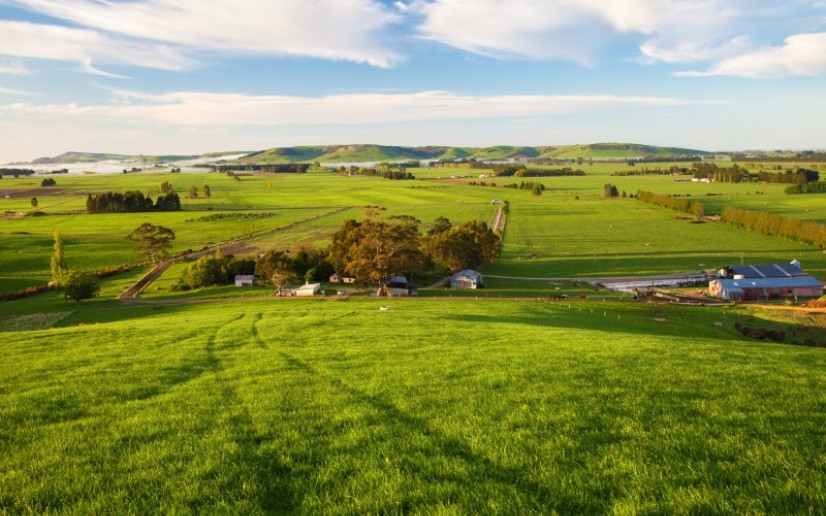 Cheap Farm Land For Sale In New Zealand