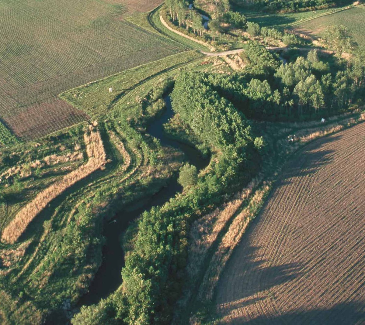 What Can Farmers Do About Climate Change? Riparian Forest