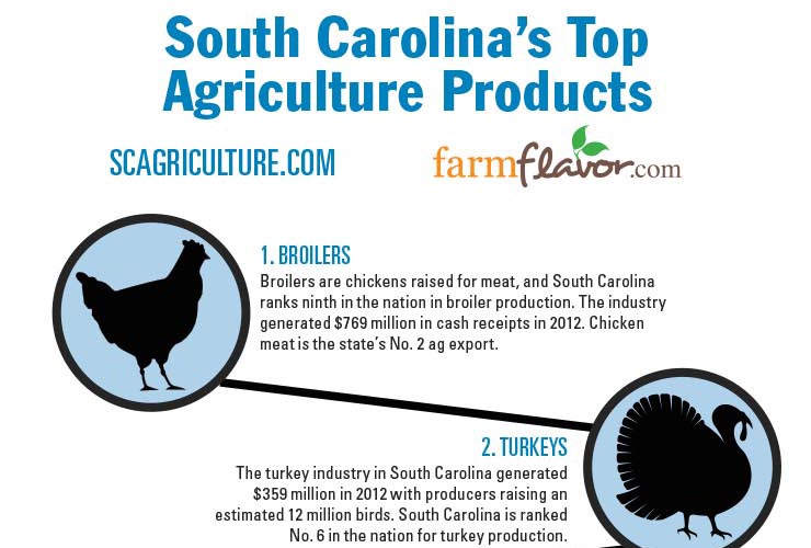 South Carolina Top Ten Agriculture Products (Infographic