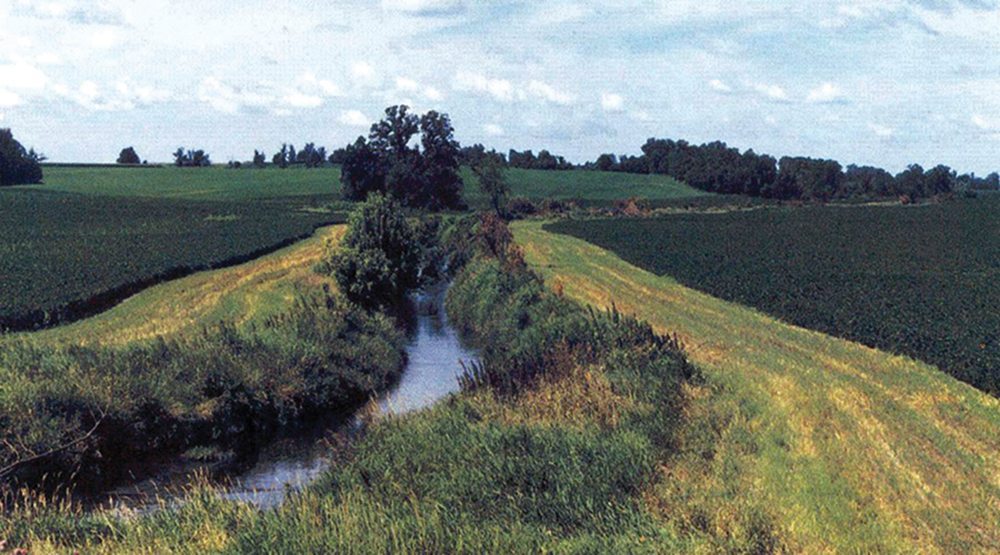 New research raises red flag over riparian buffer strips