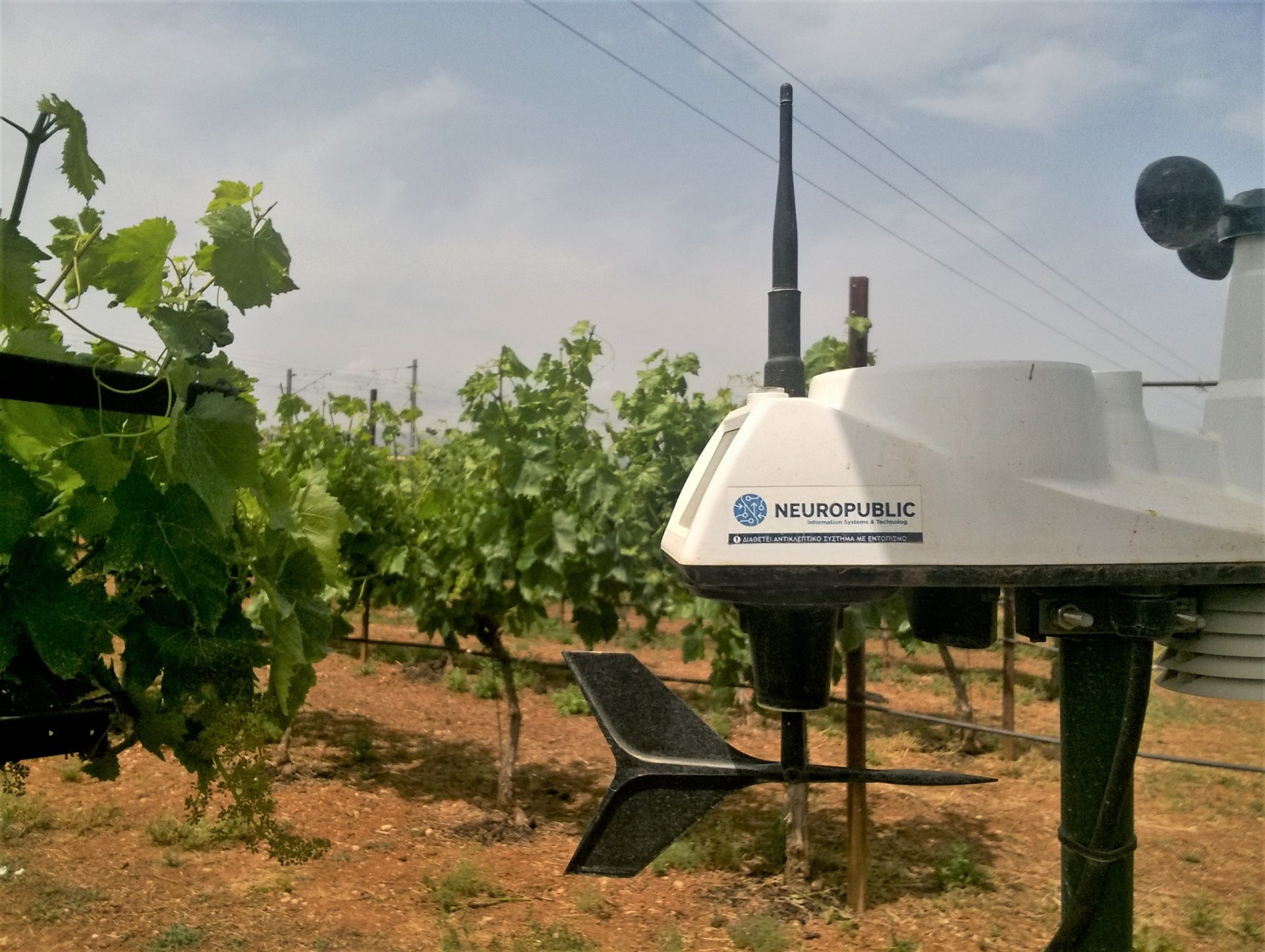 Precision Farming Greek agtech companies develop