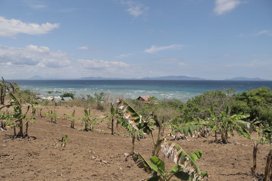 4747 sq.m Farm Lot Land In Calatagan Batangas Overlooking