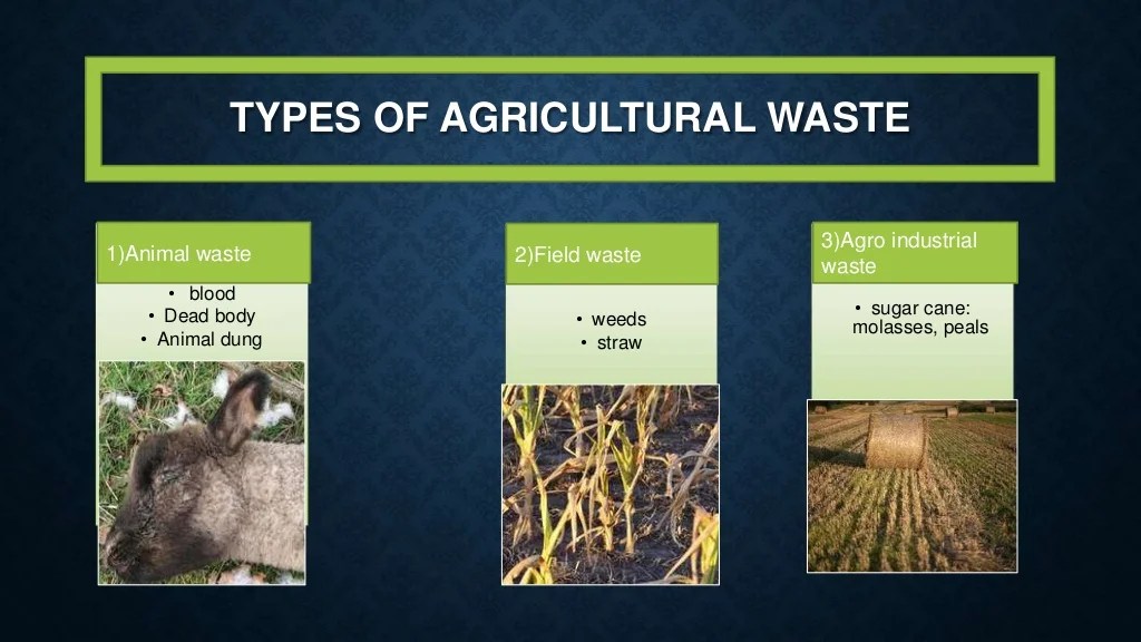 Agricultural waste management