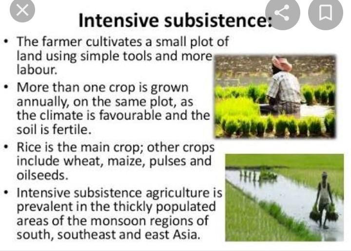 What is Intensive Subsistence farming? Write three of its