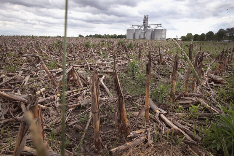 Farmers Union Vice President Says Farmers Have 'Pretty