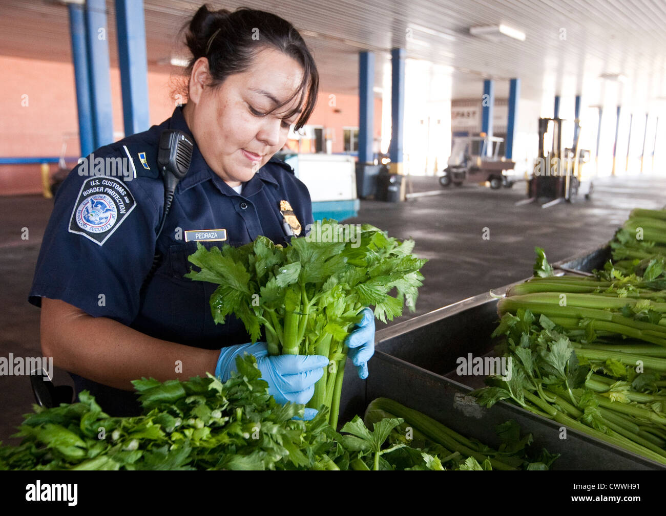 Female agriculture specialists for U.S Customs and Border