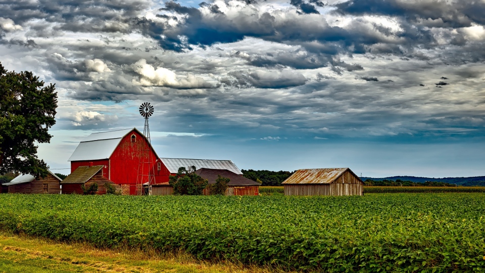 Fields of dollars Soaring farmland prices threaten future