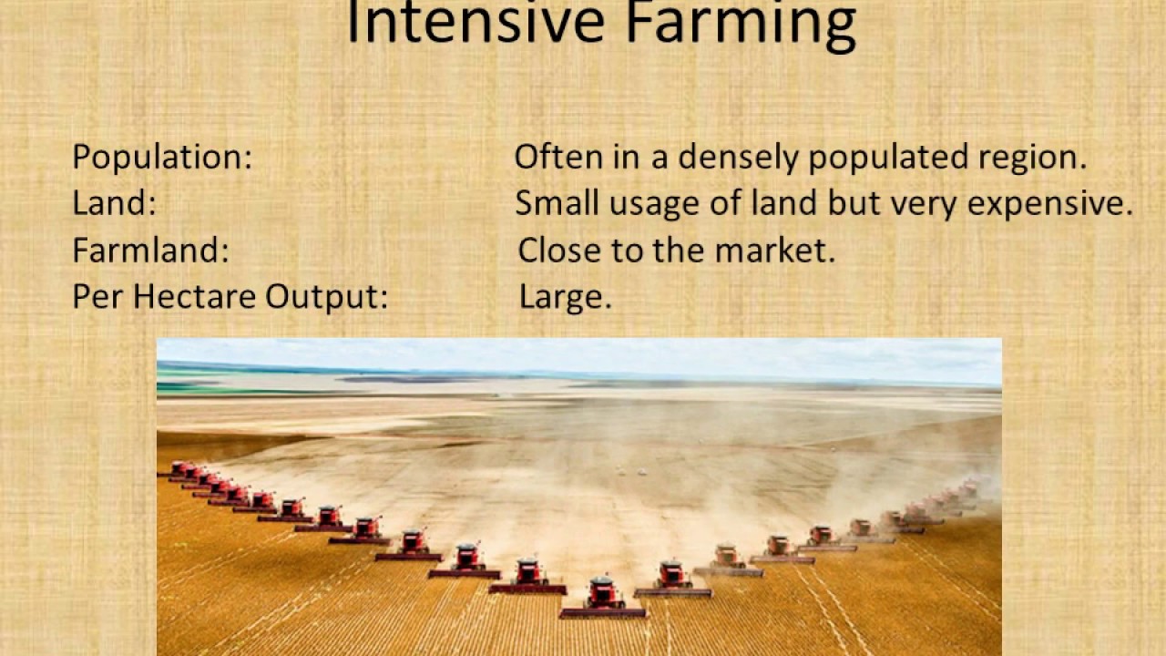 Intensive vs Extensive farming YouTube