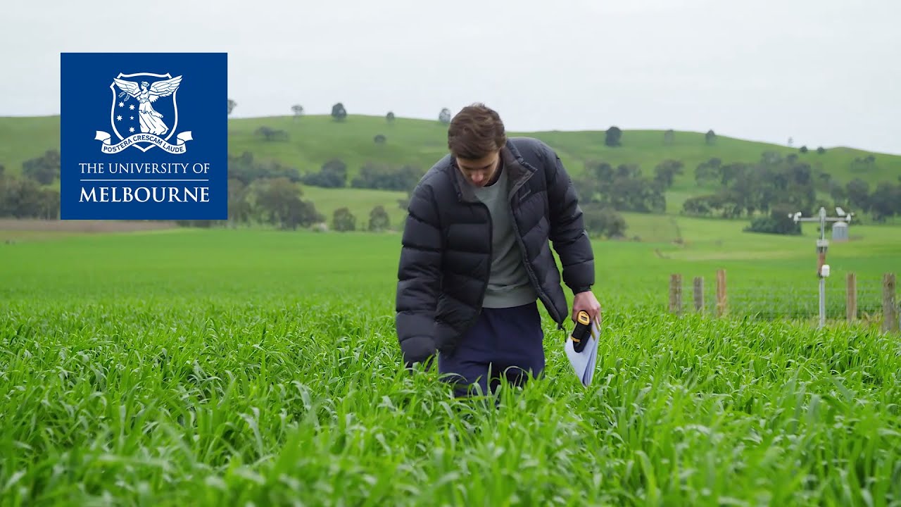 The University of Melbourne Bachelor of Agriculture YouTube