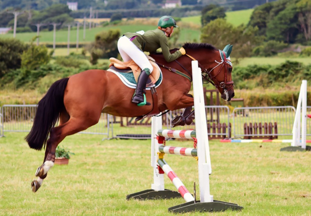 Southern Agricultural Show 2016 HG Equestrian