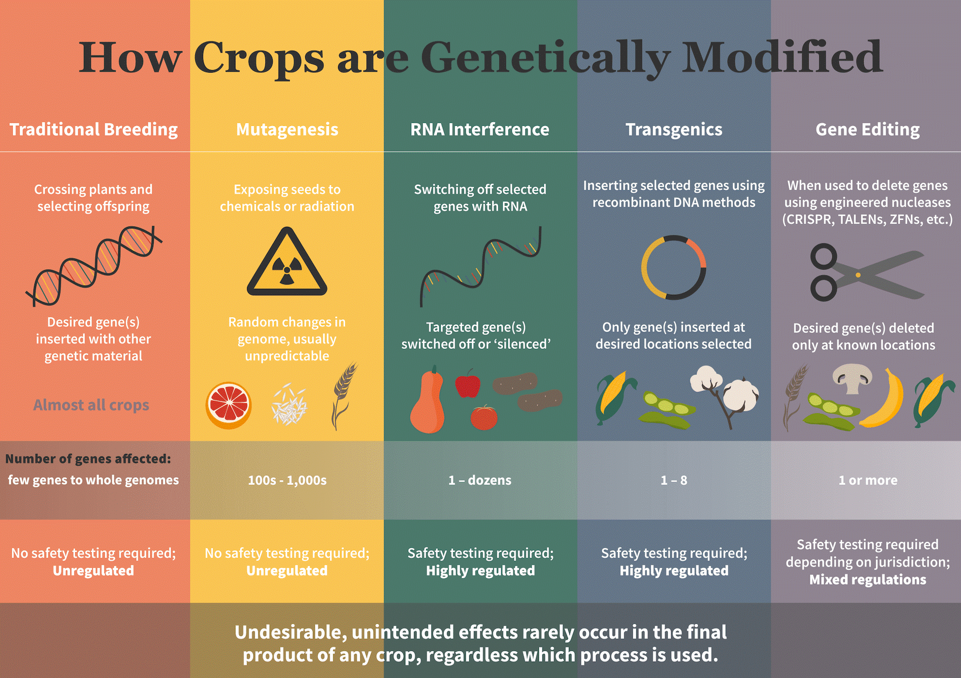 What are mutagenized crops and why they are not labeled