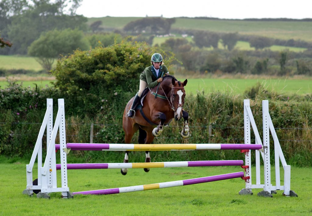 Southern Agricultural Show 2017 HG Equestrian