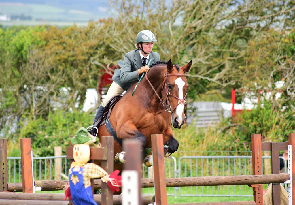 Southern Agricultural Show 2017 HG Equestrian