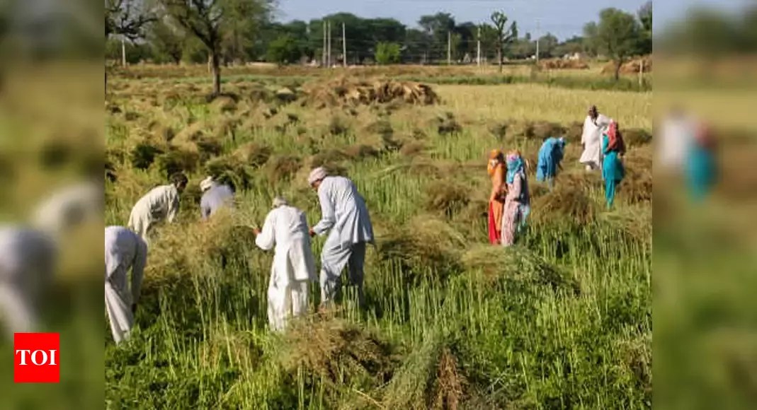 Uttar Pradesh government’s plan to save farmers from