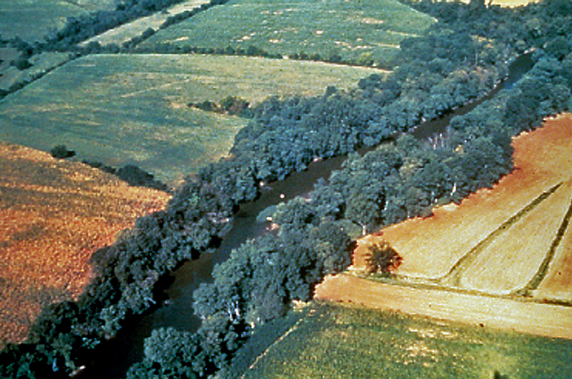 Riparian Plantings, Buffer and Filter Strips Center for