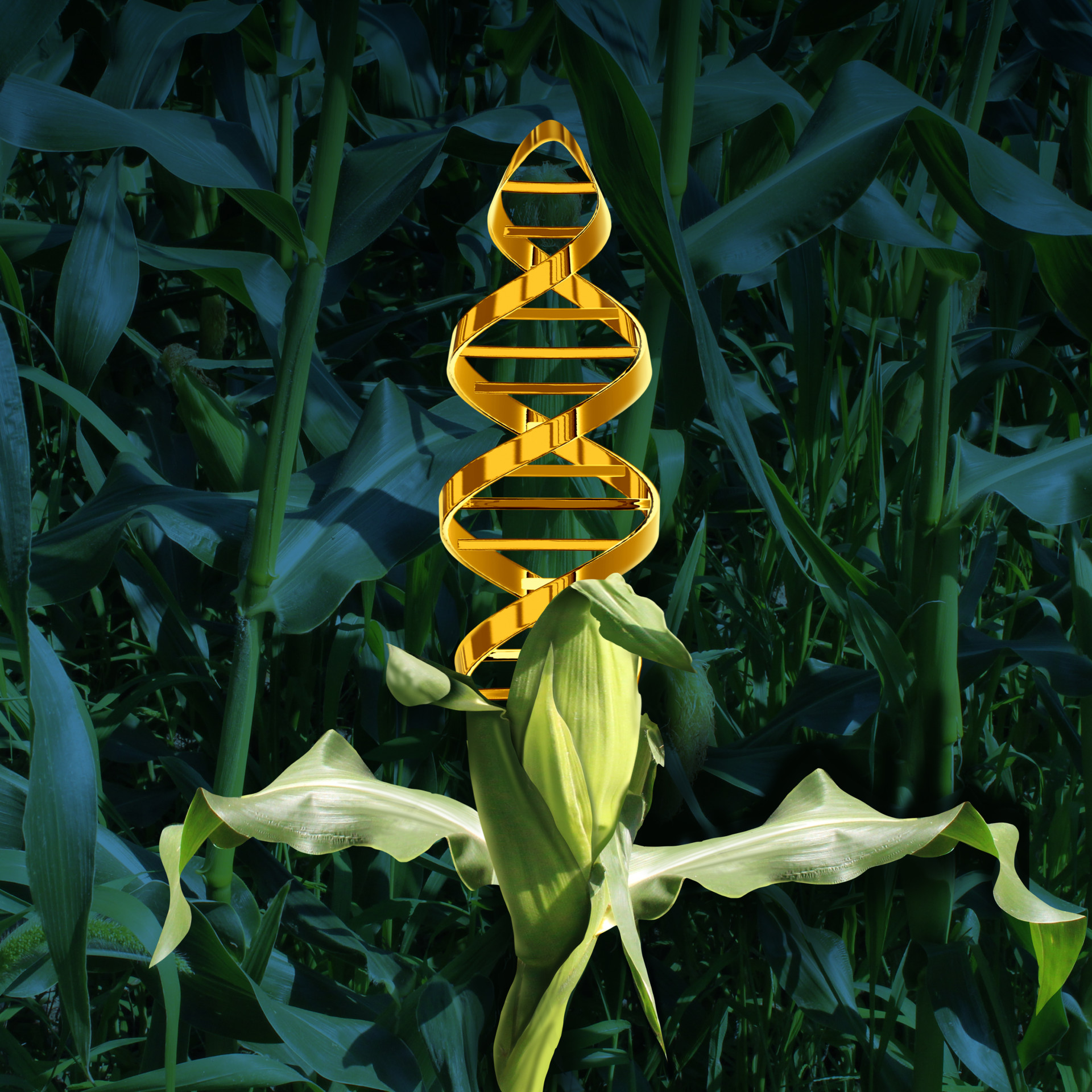 CRISPR gene editing environmentally friendly? Oct. 10