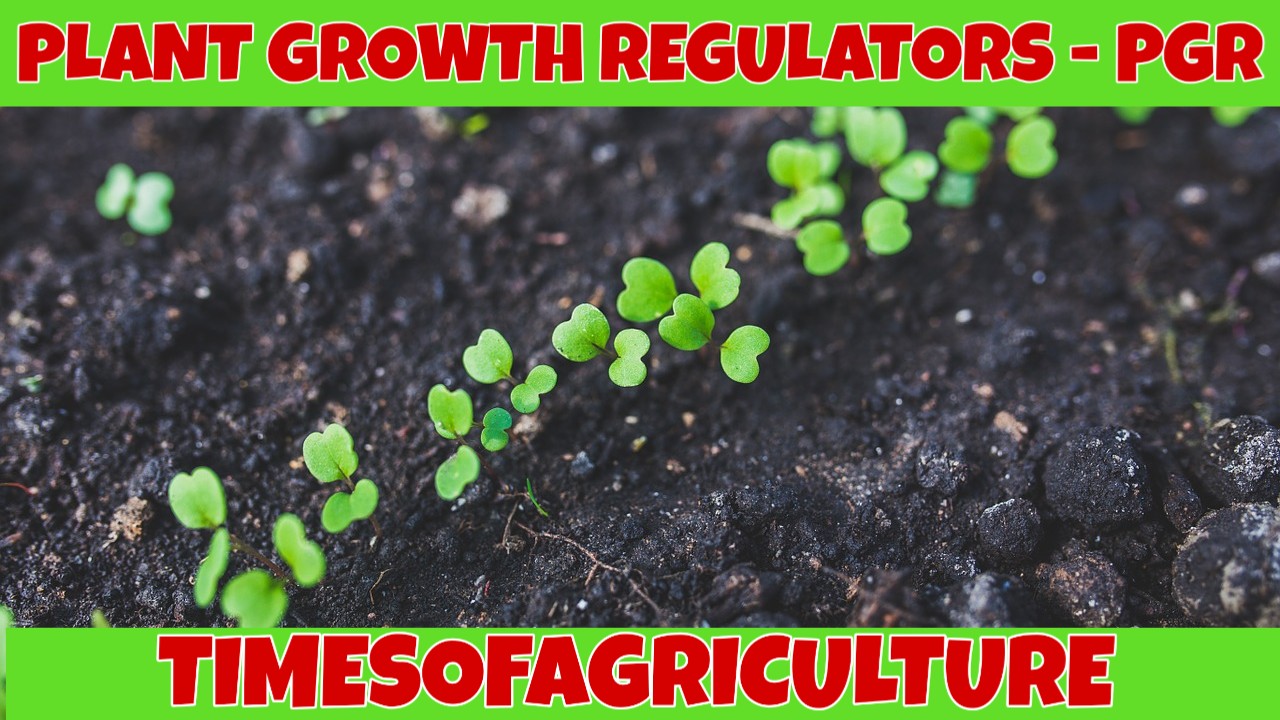 Plant Growth Regulators (PGR) Overview TIMES OF