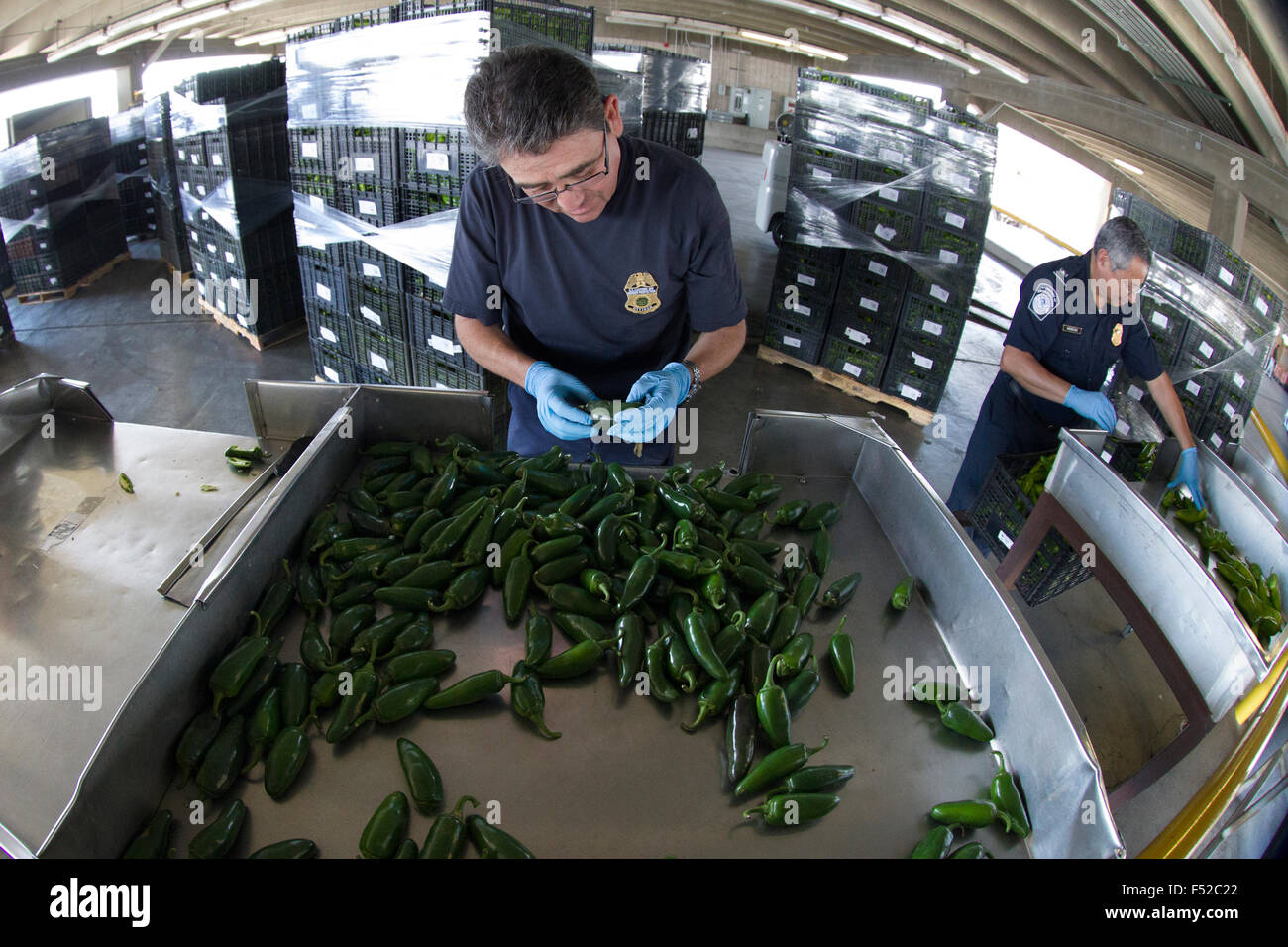 US Customs and Border Protection Agriculture Specialist