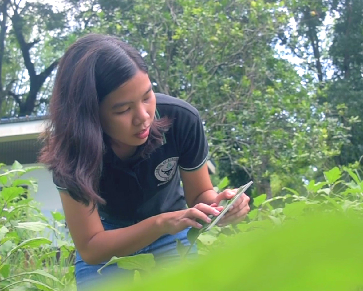 BS Agriculture, Major in Crop Science University of