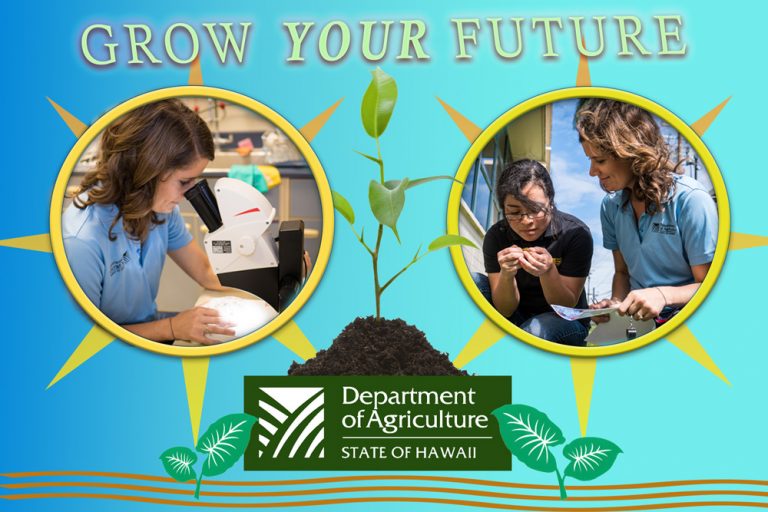 Department of Agriculture Careers