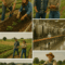 5 Agriculture Movies Spektakuler yang Mengubah Cara Pandang tentang Dunia Tani
